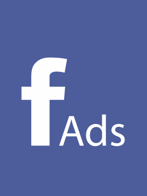 Facebook Ads & Instagram Ads Course 2024
