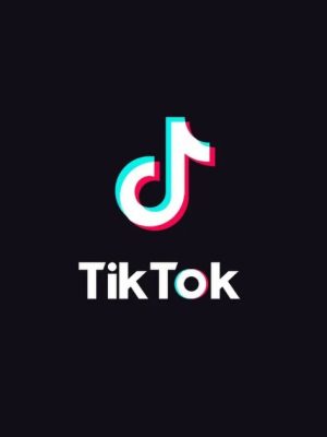 TikTok Marketing Course | Get 10k, 100k, 1M+ Views